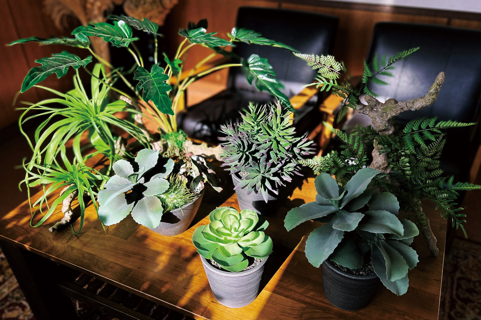 【送料別途】ジェイドプラント ポット