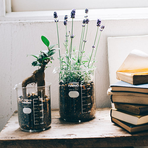 ﾋﾞｰｶｰ500ml H32 : フラワーベース・鉢カバー ｜ YDMオンライン