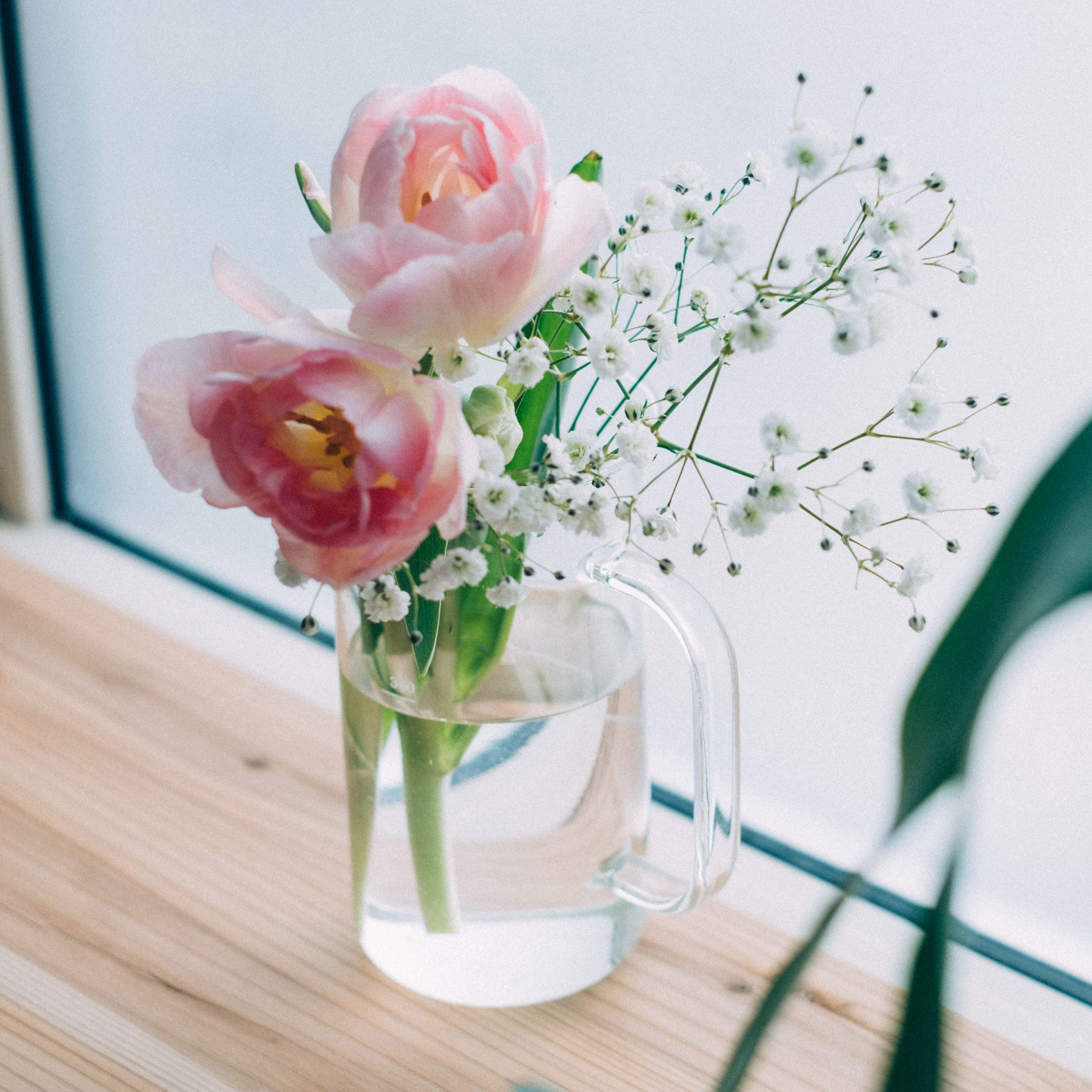 【Crafts Science】HARIO ハリオ ビーカーサーバー