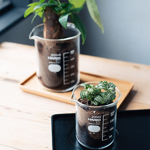 CT-DBRカフェトレーダークブラウン