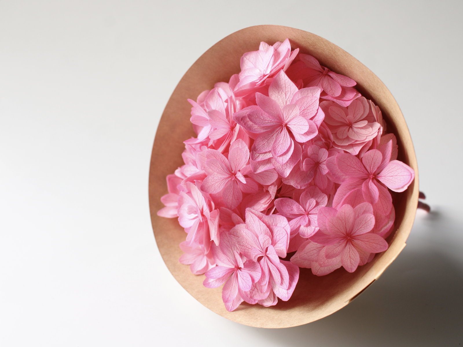 �Ђȱ�޻� ��ݸ