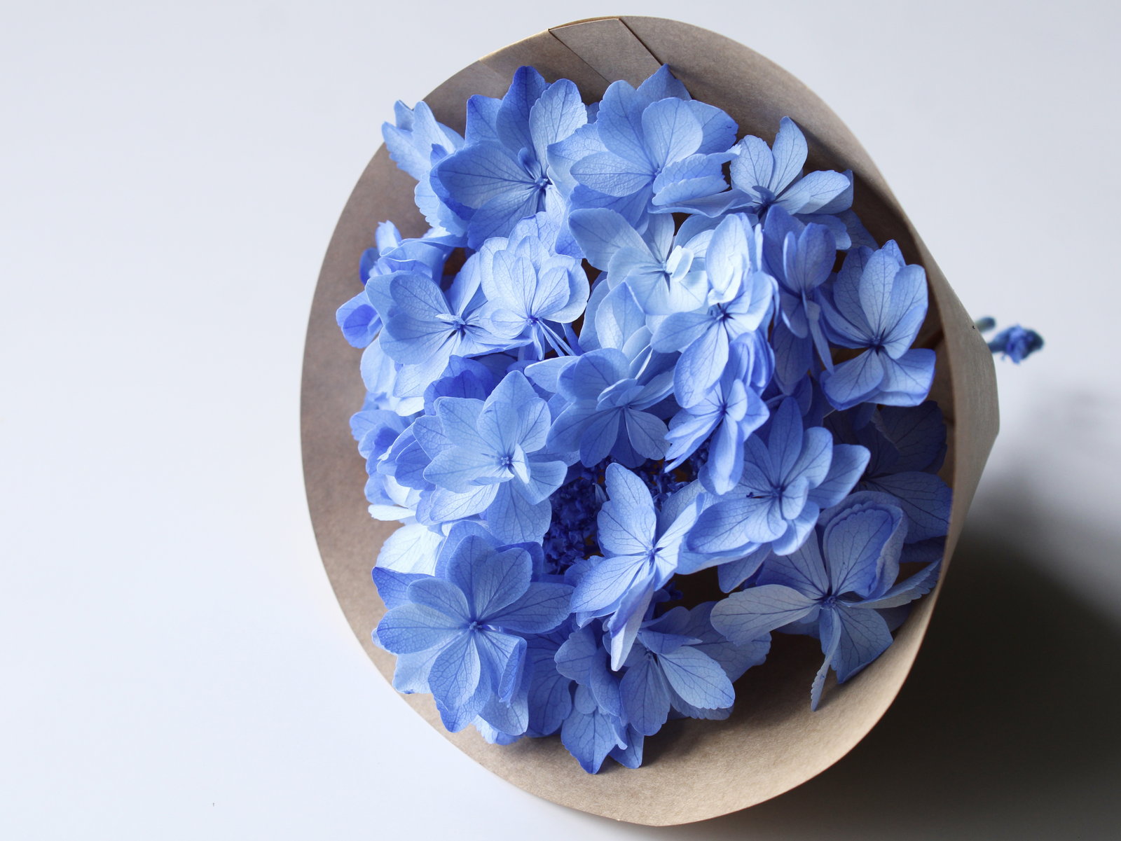 �Ђȱ�޻� ��ٰ