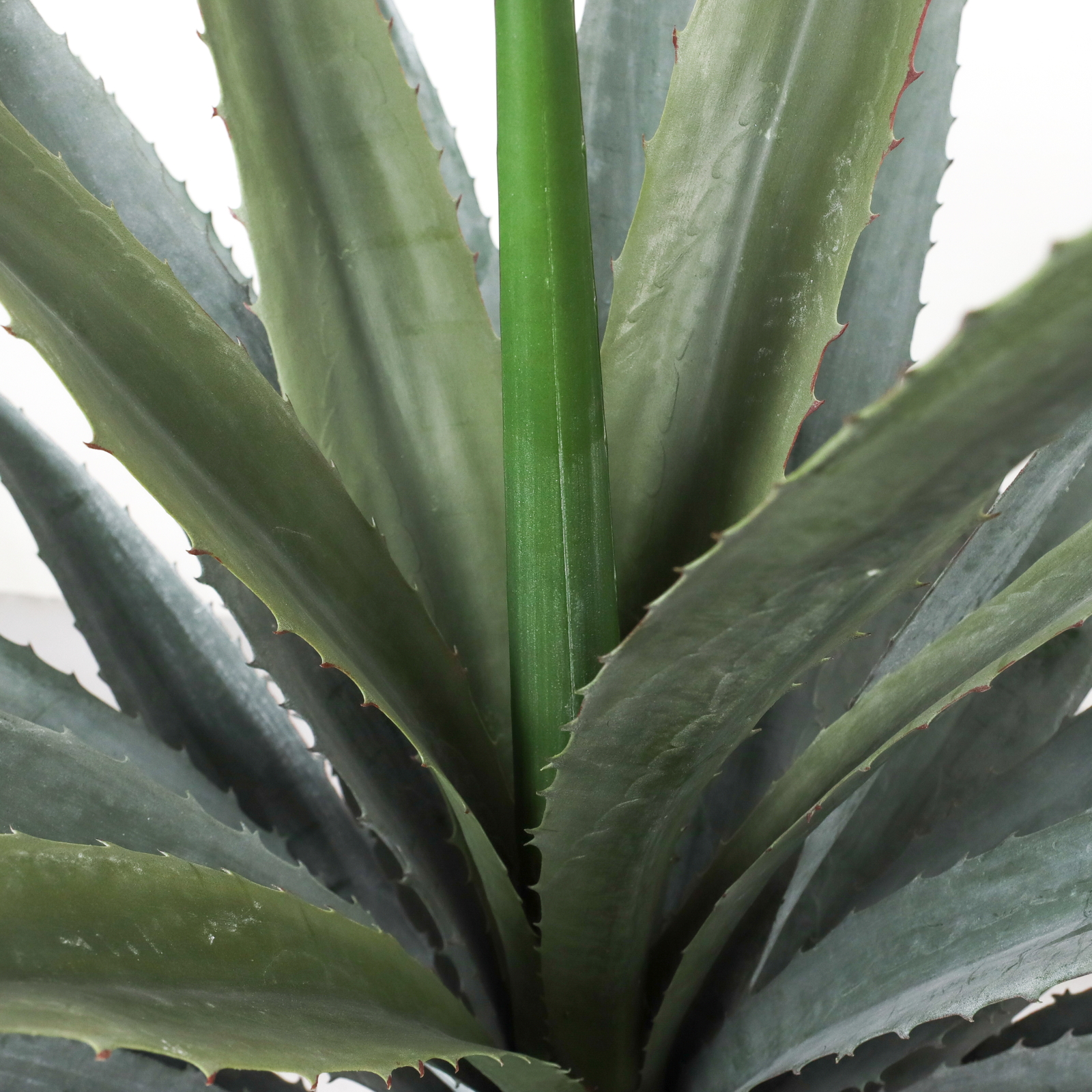 ����く1800 35CM�ݽ���߯�