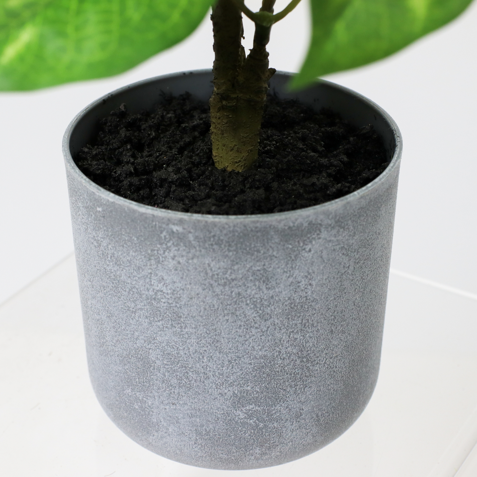 30CM��Ľ�߯�