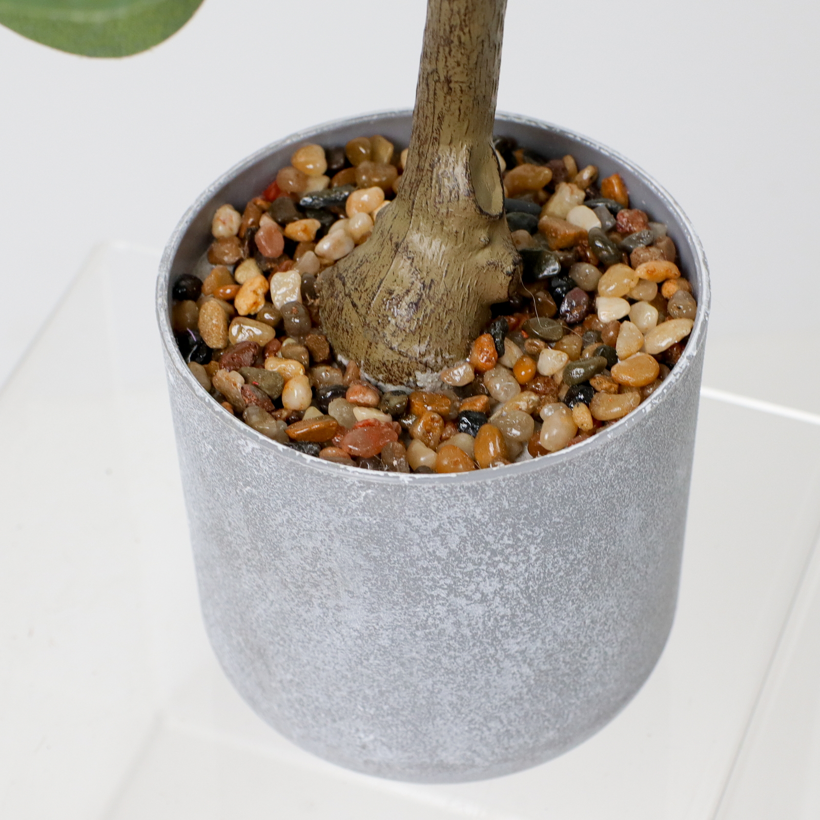 60CMհ���߯�