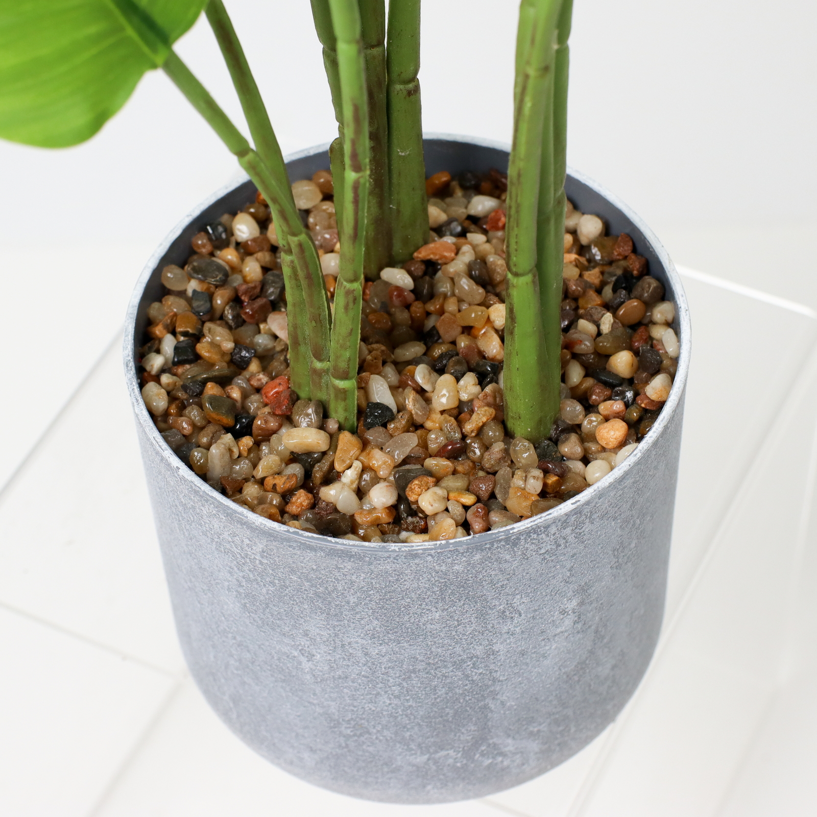 60CM���޽��߯�