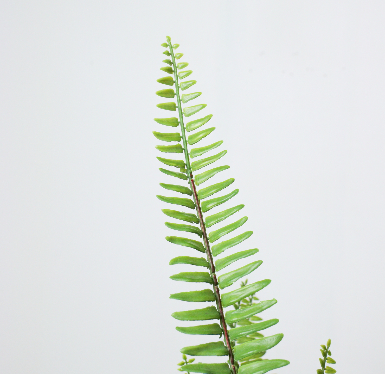 ����く4800 90CM��ް��߯�