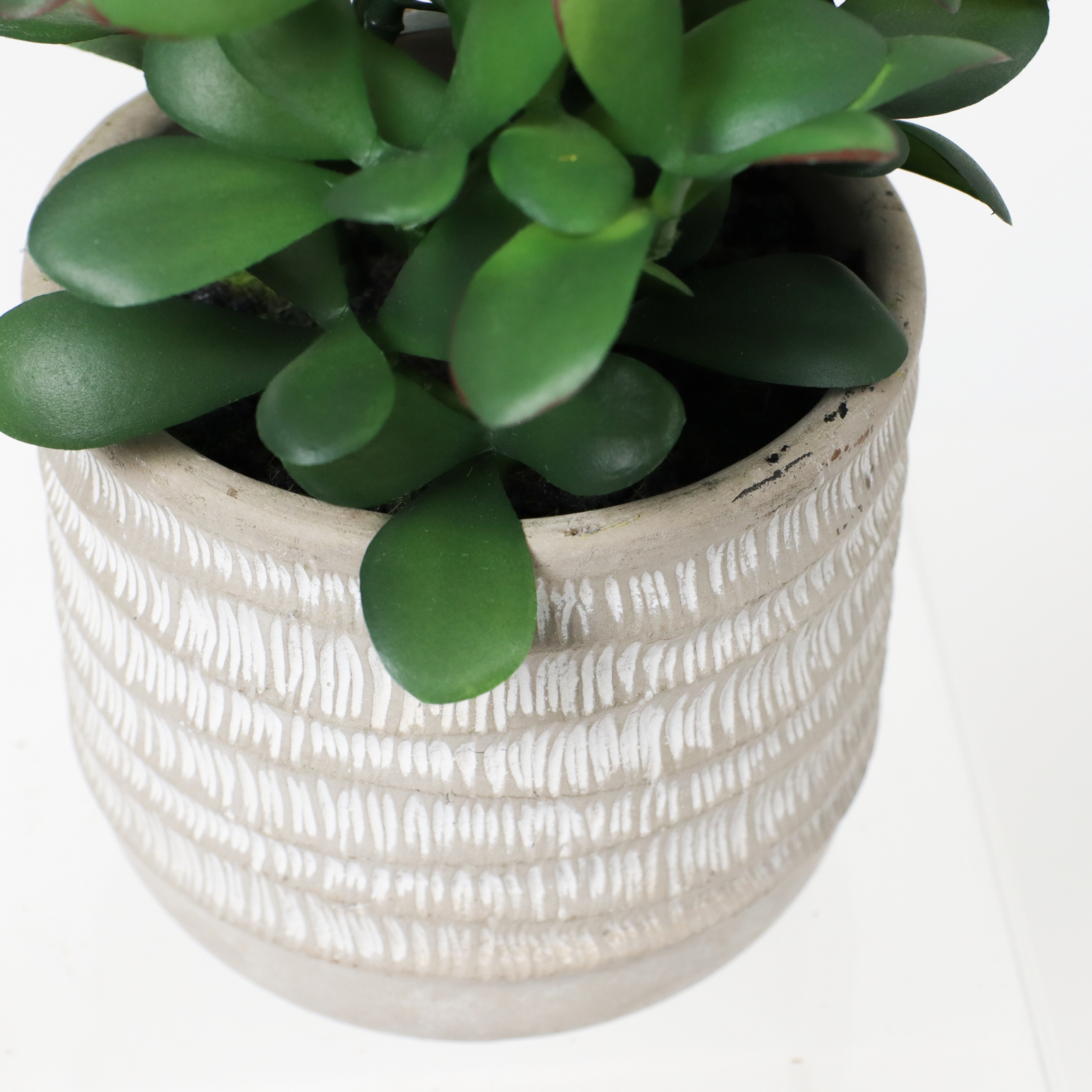 ����ر�߯�