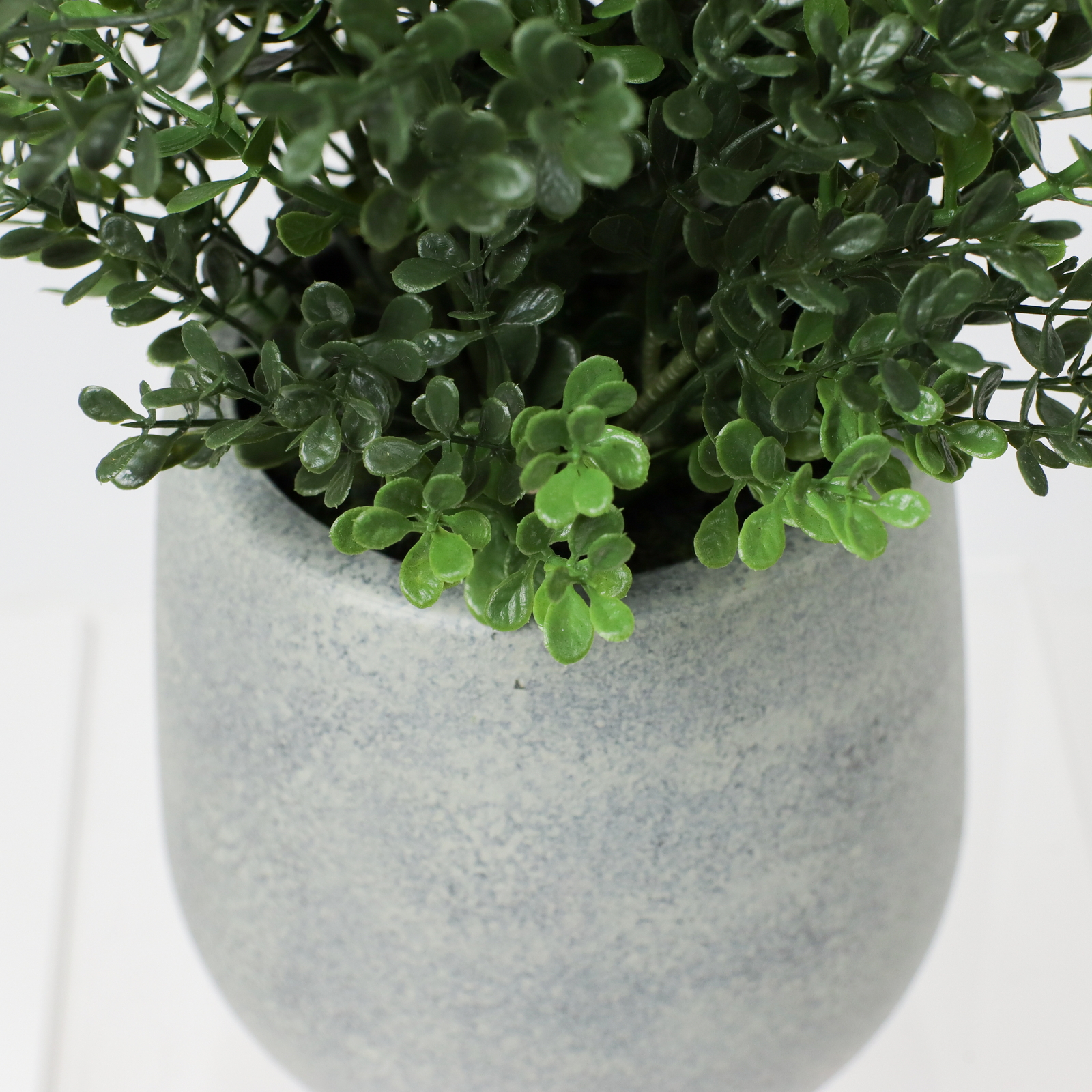 �ޯ�������߯�