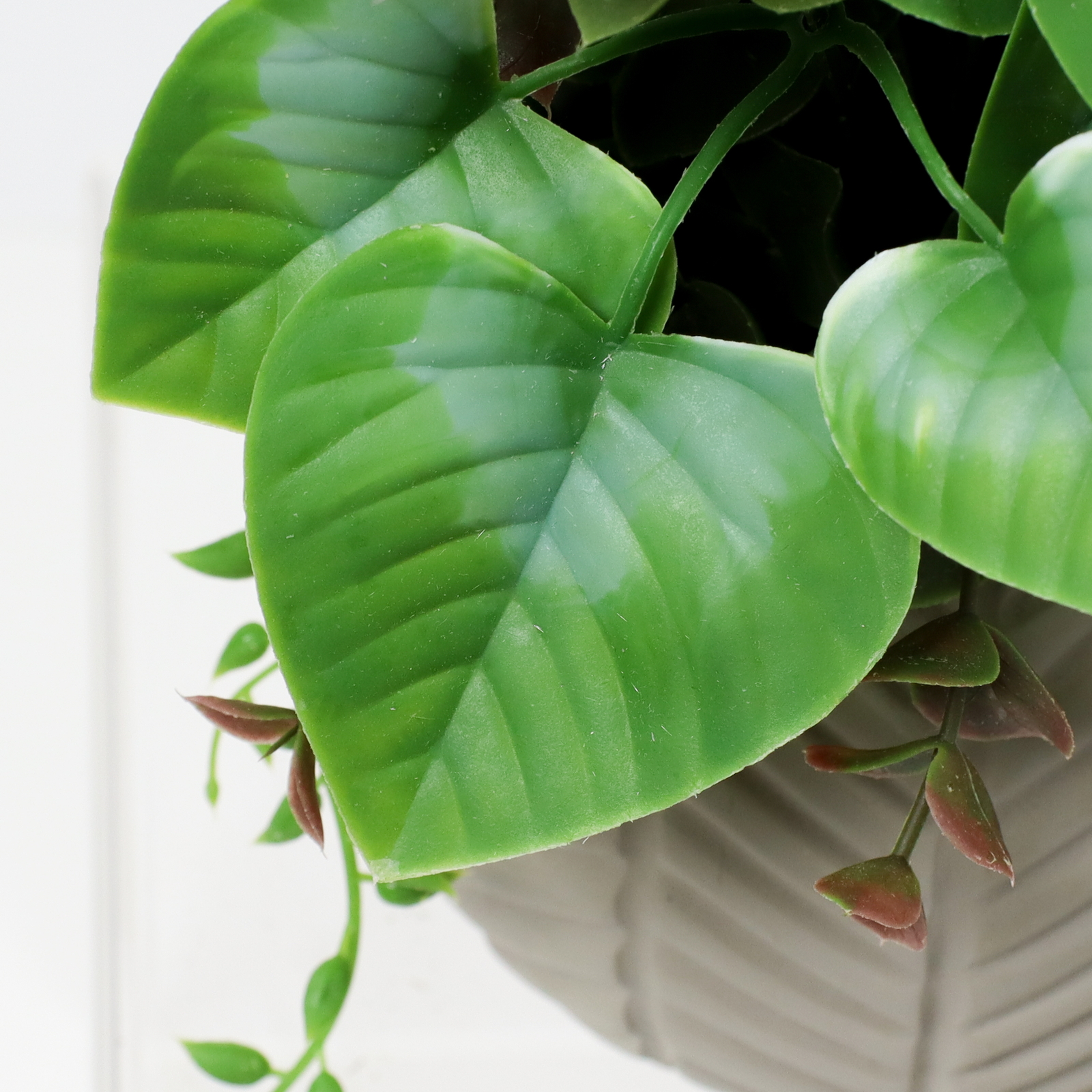 հ��Я��׳��ޱ�ݼ�S