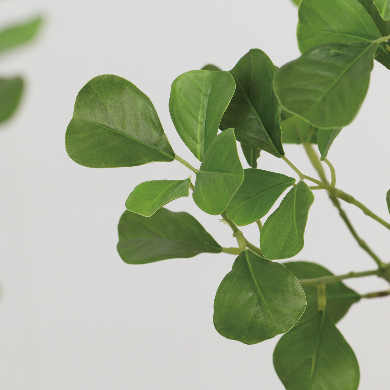 yʓrAz125cm̨ײݷޭ׽