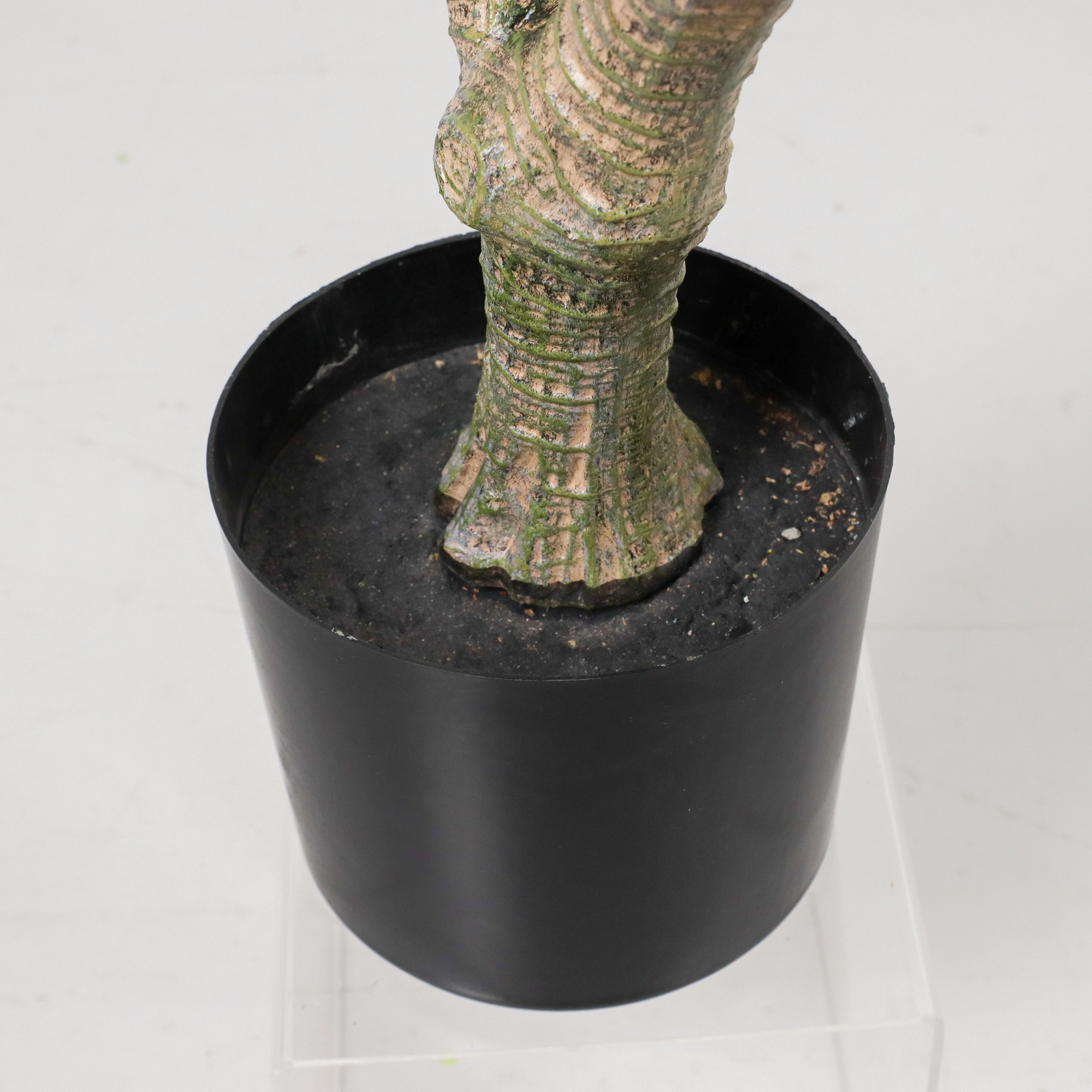 �y�����ʓrA�z150CM�׽����׾�