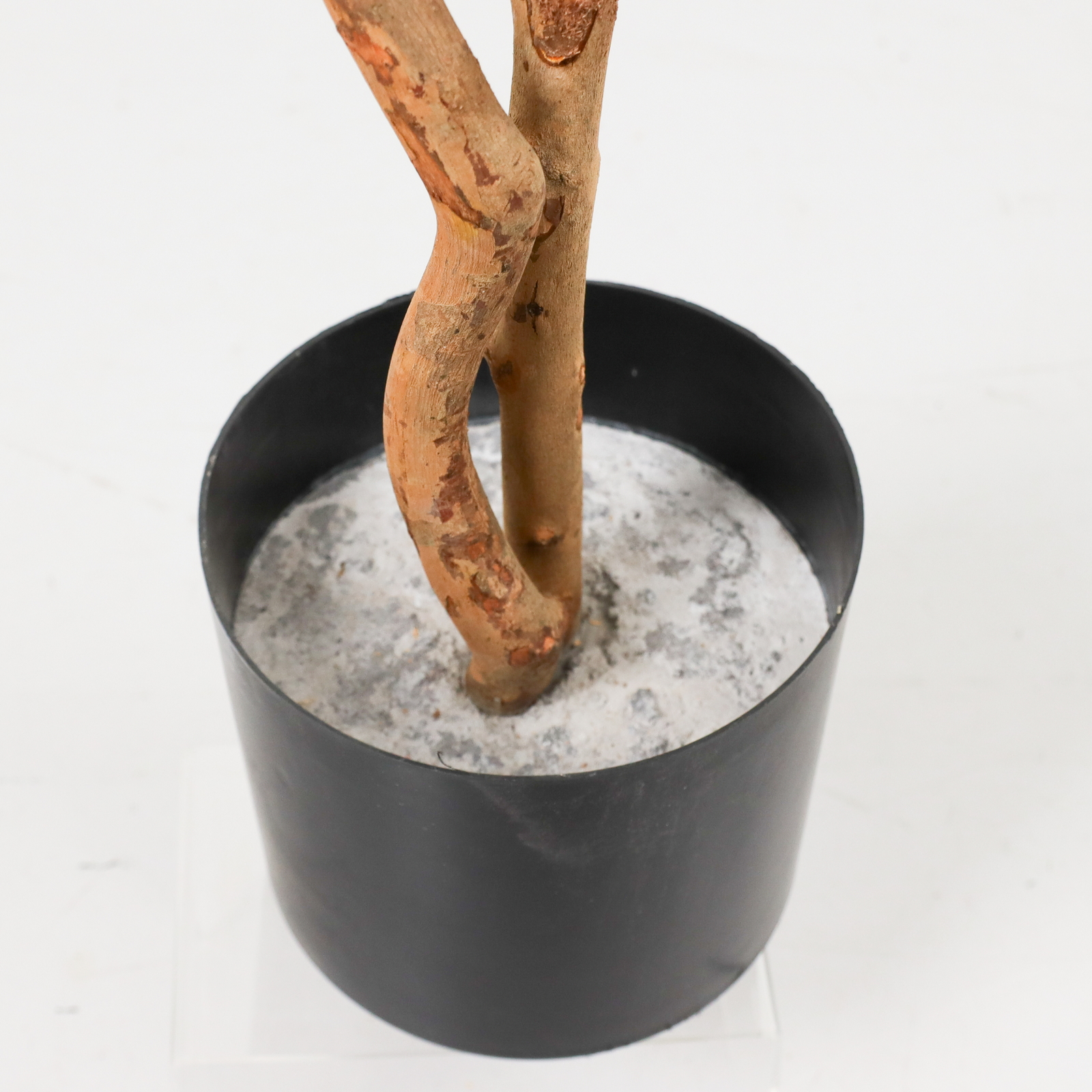 �y�����ʓrB�z210CM��ݼެ���ذ