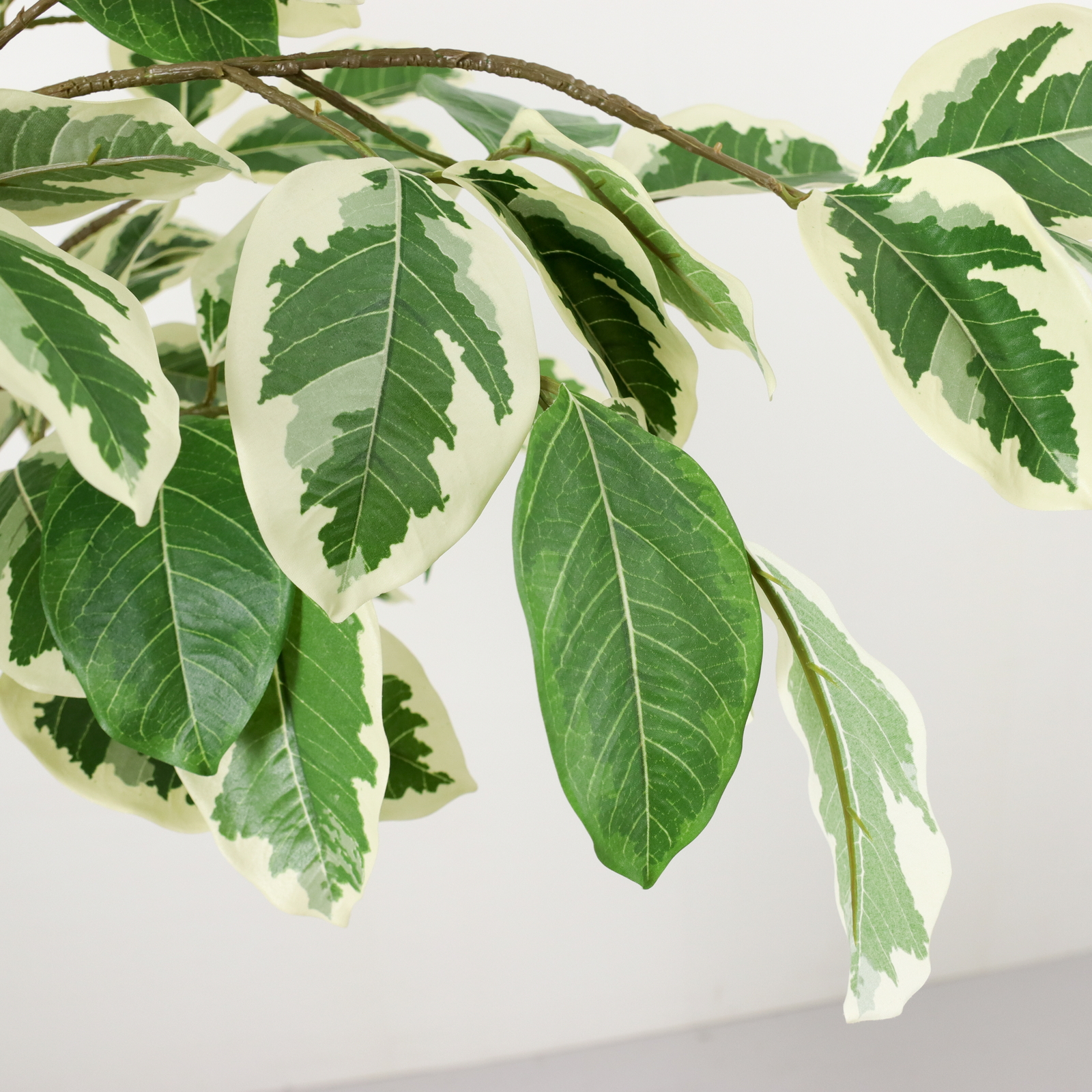 160CM̨����ü�