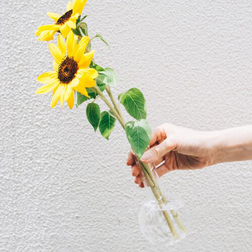 平底フラスコ 300ml