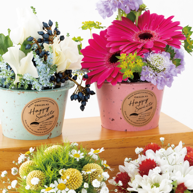 カラフルバンブーポット-S/ピンク(10個)