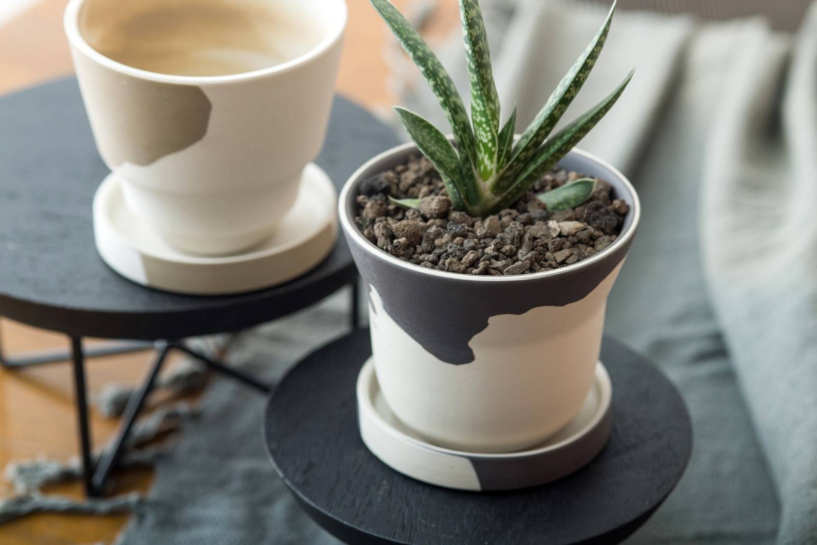 �y�l��z���s�z̨���߯� ����