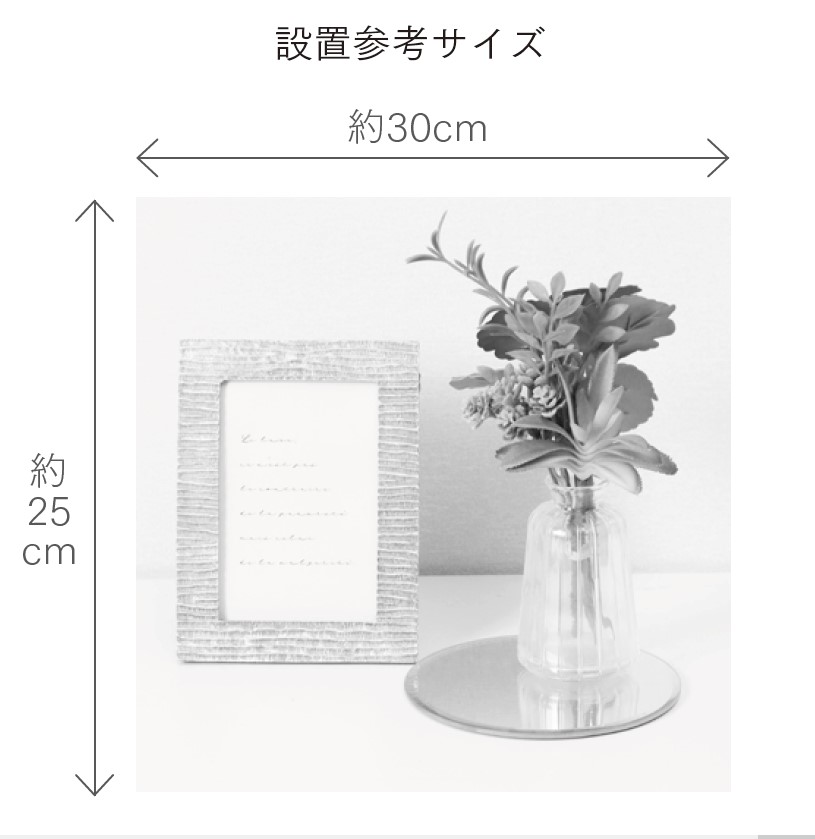 ディスプレイセット グリーン S