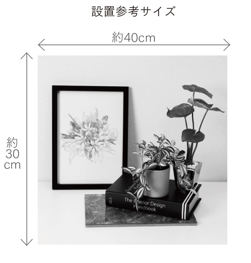 ディスプレイセット グリーン M