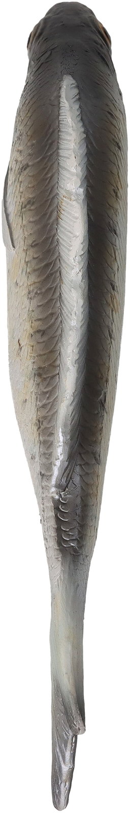 Ornament Fish Polyresin Grey 27.5x3.1x8.1cm