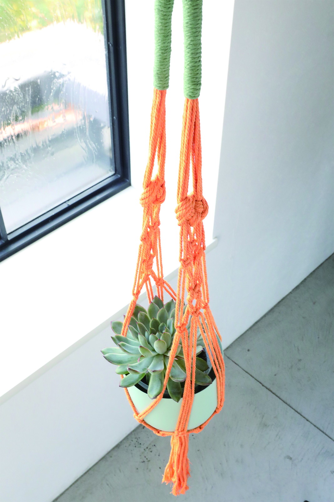 �y�l��z���s�z���ϸ�ҥ�ݸ��߯� orange