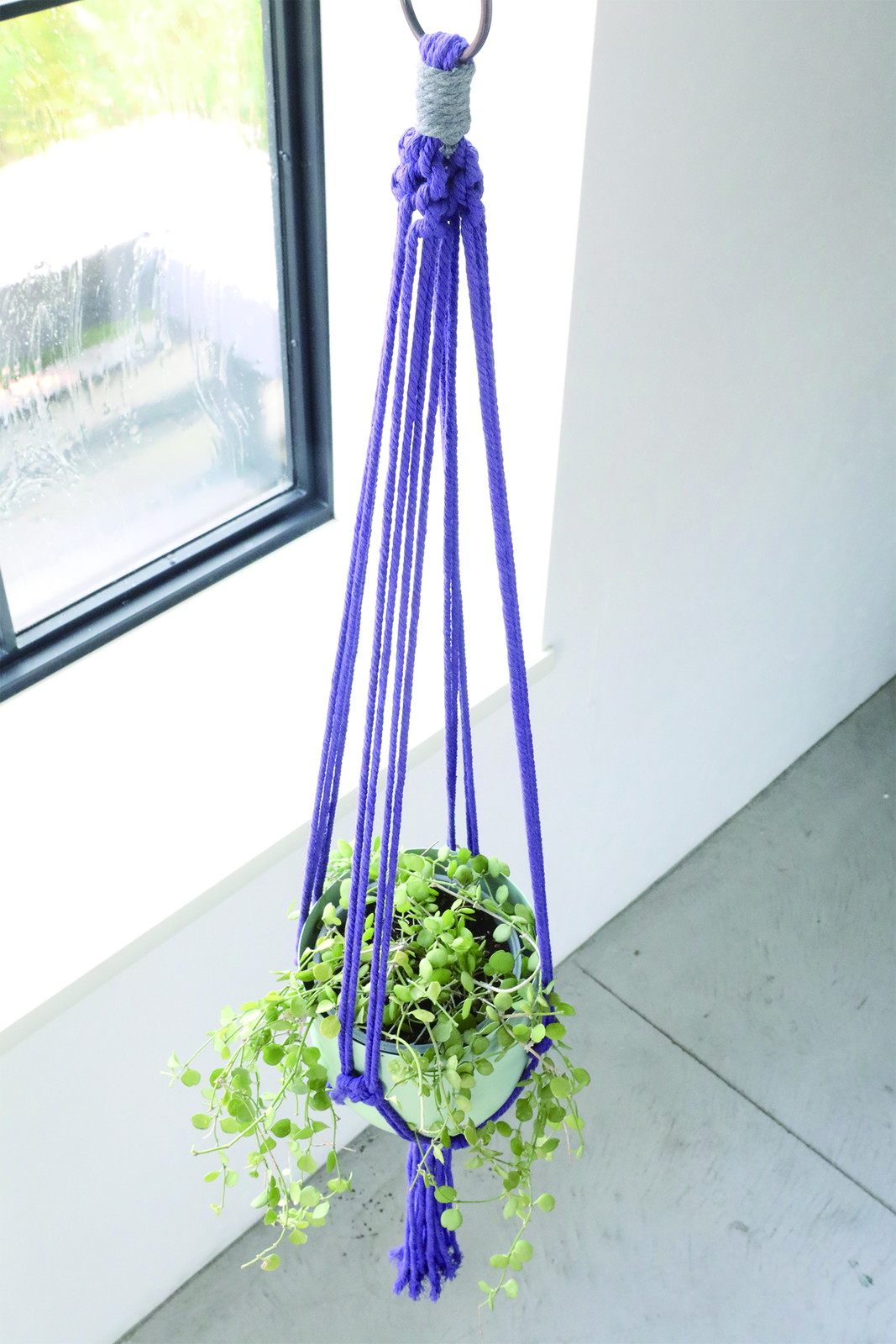 �y�l��z���s�z���ϸ�ҥ�ݸ��߯� purple