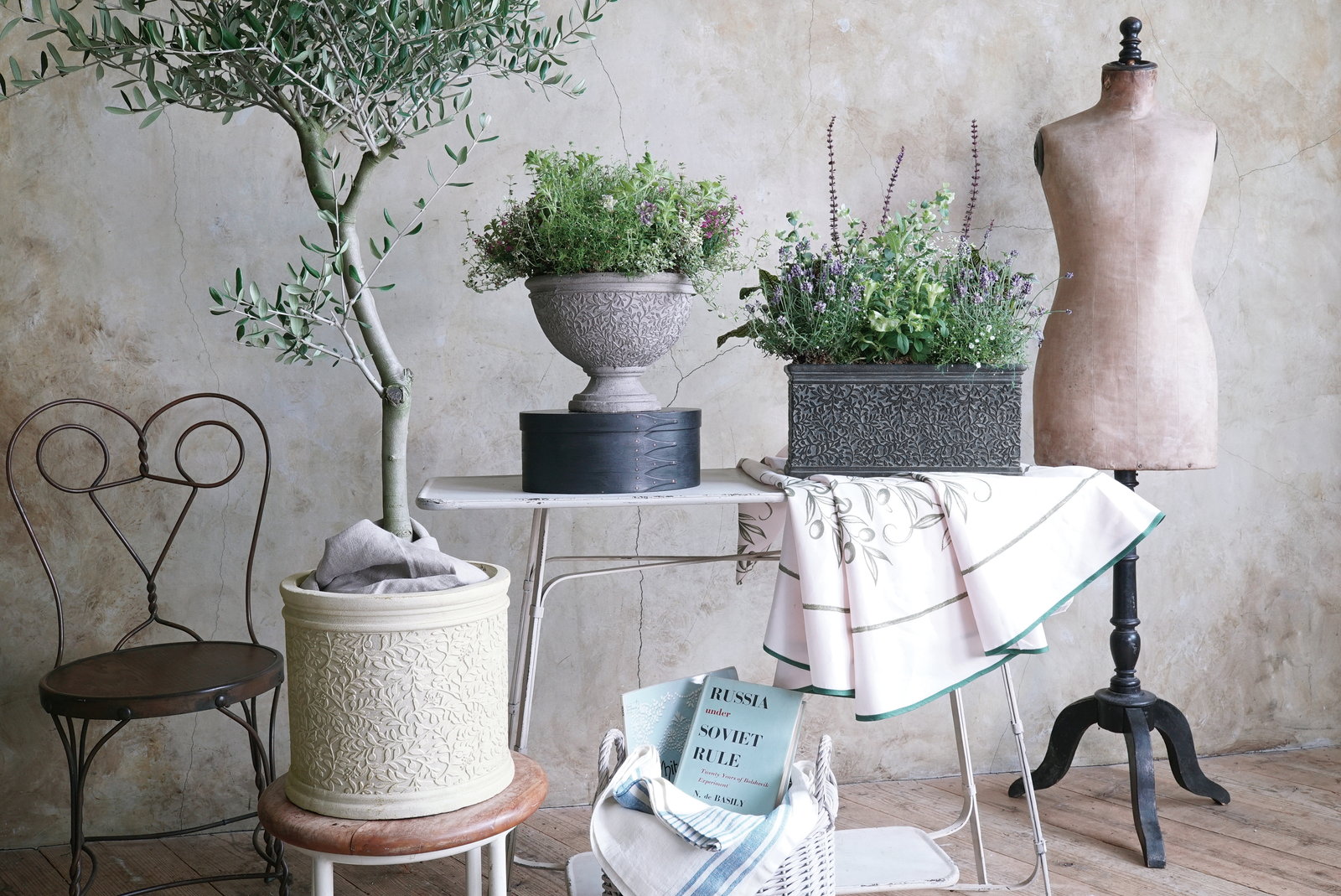 【個人宅配送不可】オリーブベーシックL-IV