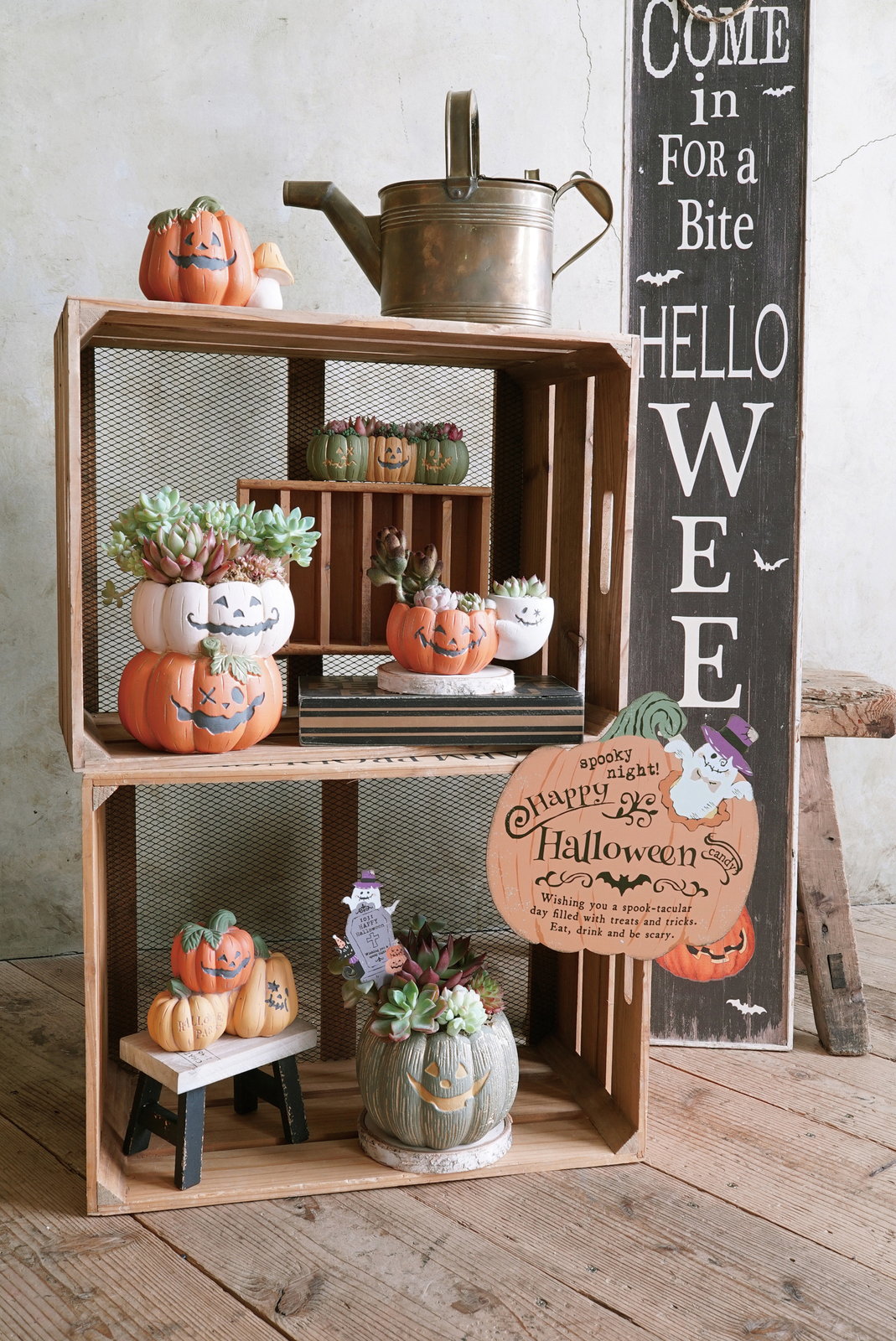 個人宅配送不可】ｼﾞｬｯｸｵｰﾗﾝﾀﾝﾎﾟｯﾄ24ｼﾝｸﾞﾙS-OR: ハロウィン雑貨 ｜ YDM