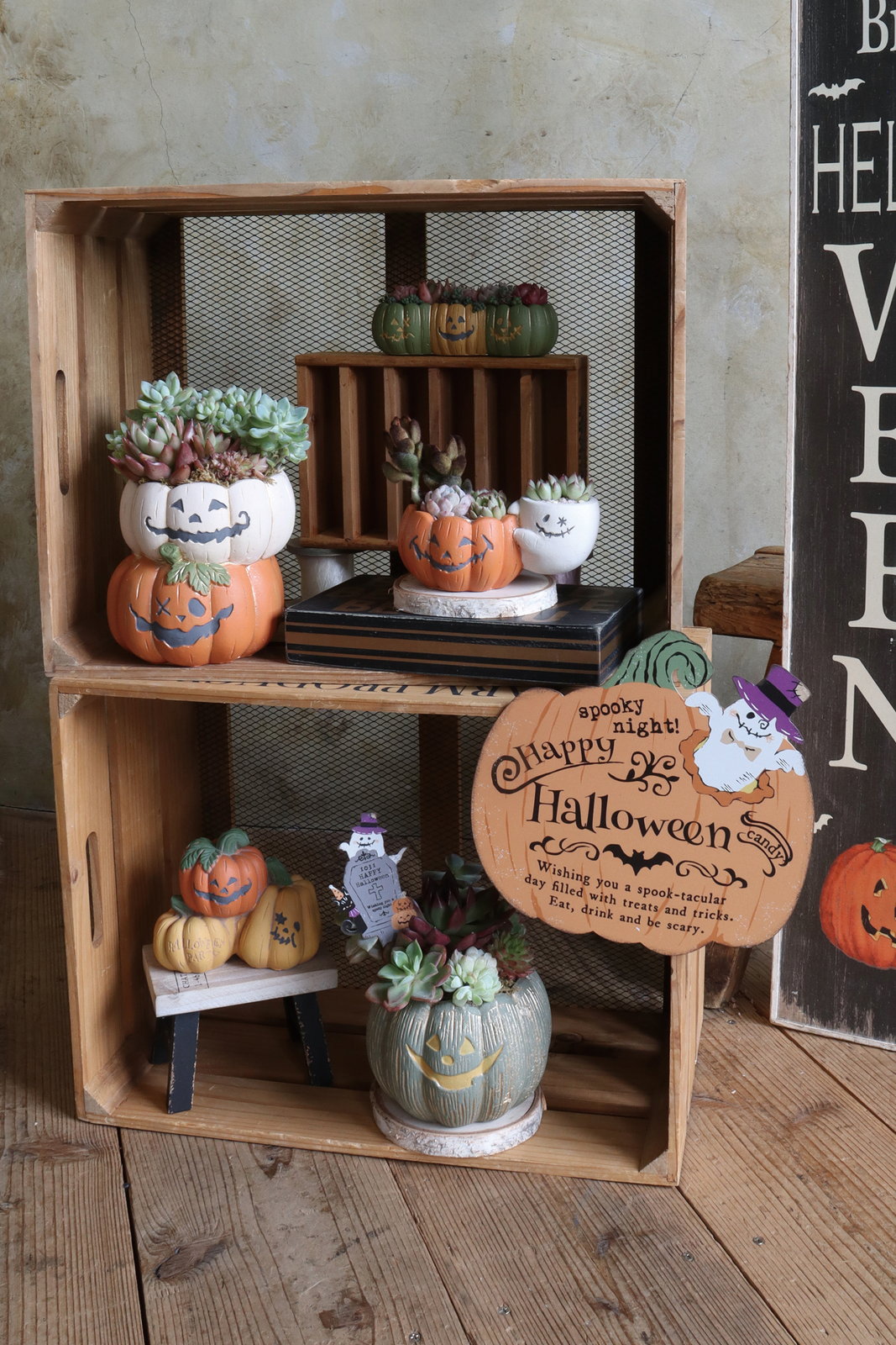 個人宅配送不可】ﾊﾛｳｨﾝﾌﾟﾚｰﾄ24ｷｬｯﾄ: ハロウィン雑貨 ｜ YDMオンライン