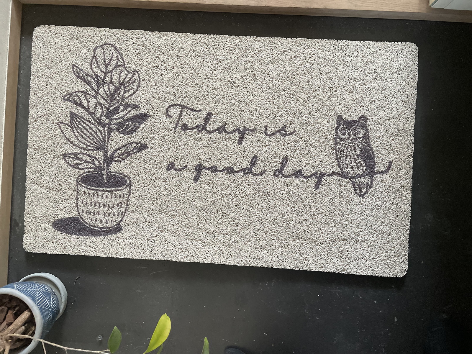 �y�l��z���s�z̶̶�׽ϯ� Owl