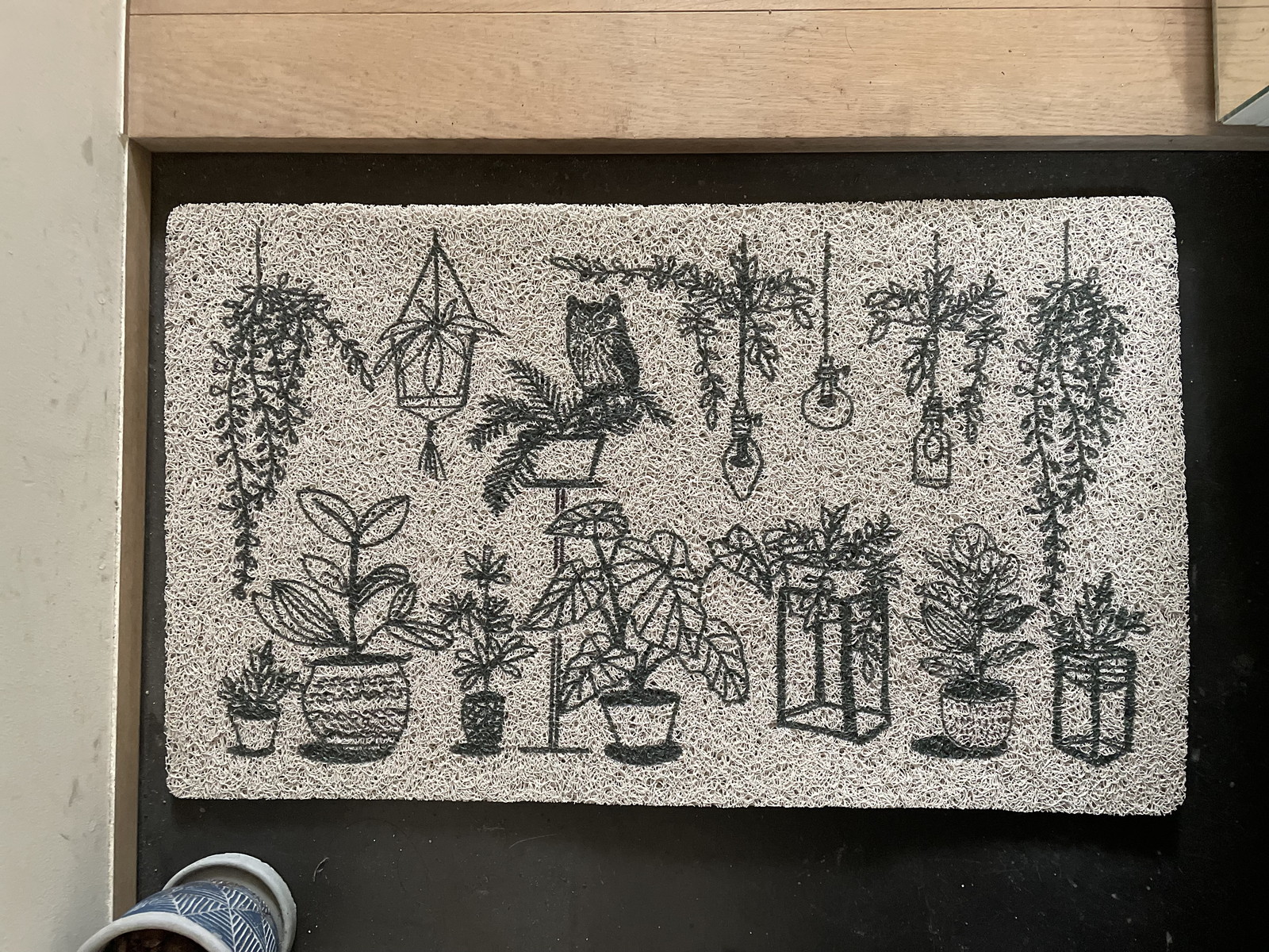 �y�l��z���s�z̶̶�׽ϯ� Houseplants 7