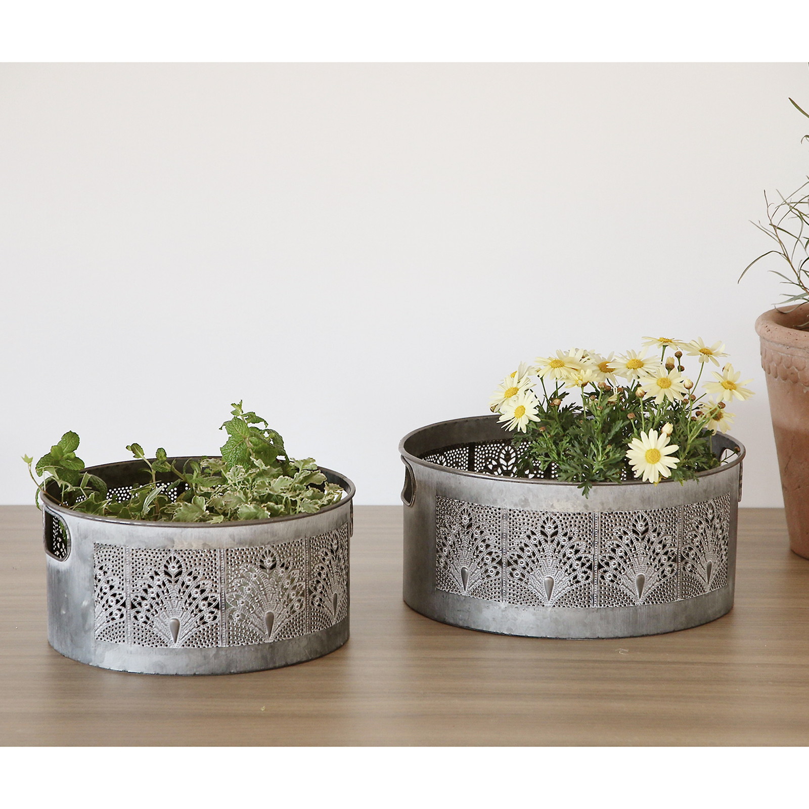 �y�l��z���s�zSCADINAVIAN�����ܰ�߯� S
