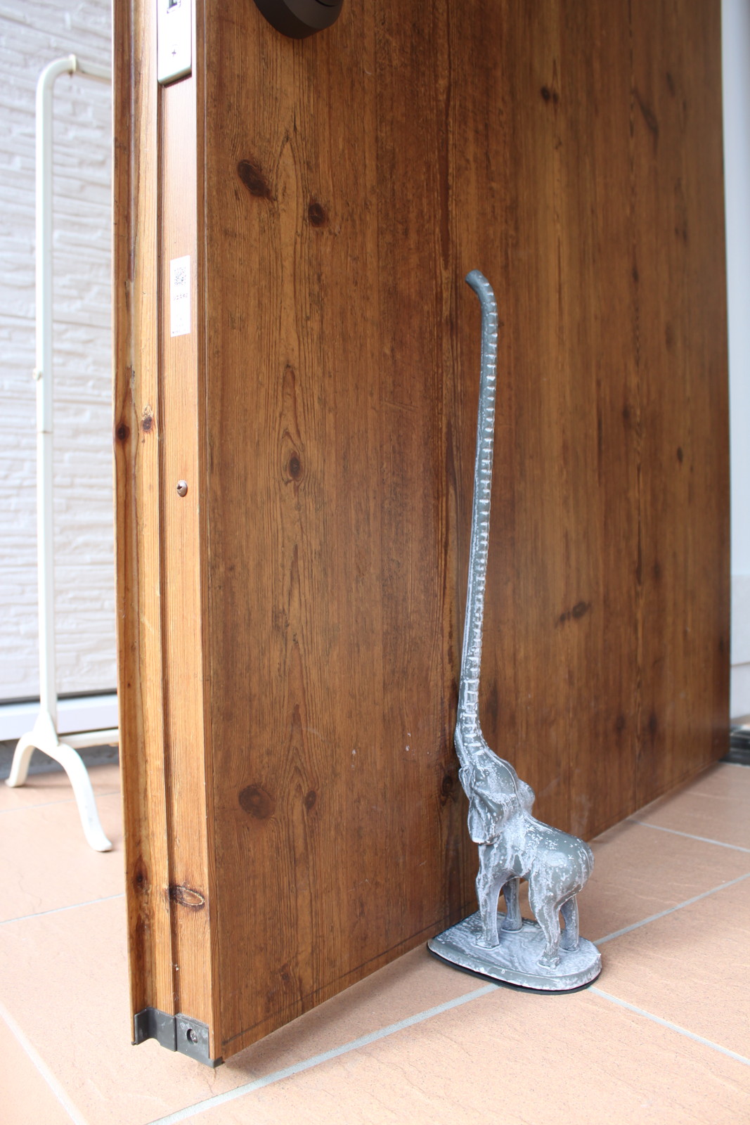 ylzsz(2) ޱį̧߰