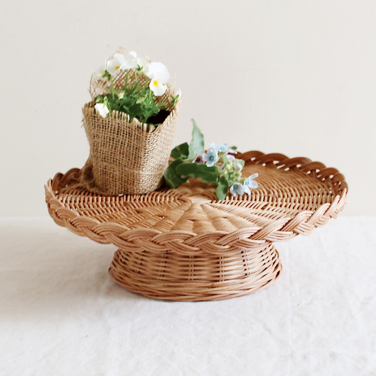 �y�l��z���s�zMERRY �޽��Ľ�����ڲ L��