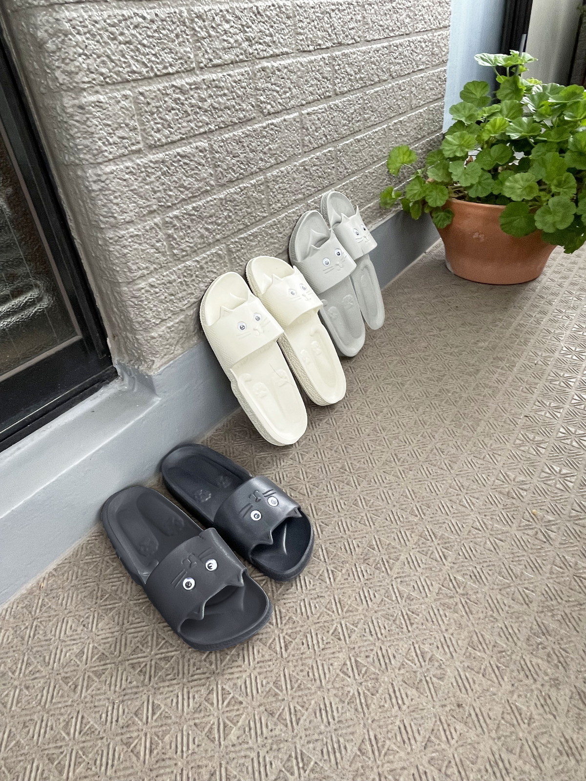 ylzsz(3)Ļ ڰ ذ