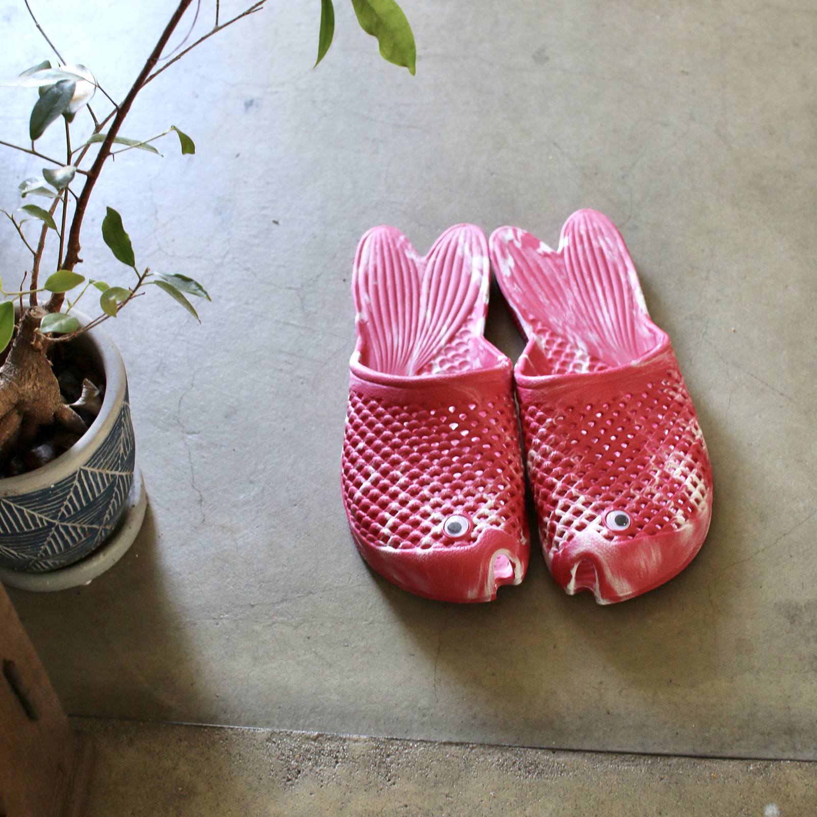 �y�l��z���s�z�ݷޮ����� ϰ���گ�� �ذ