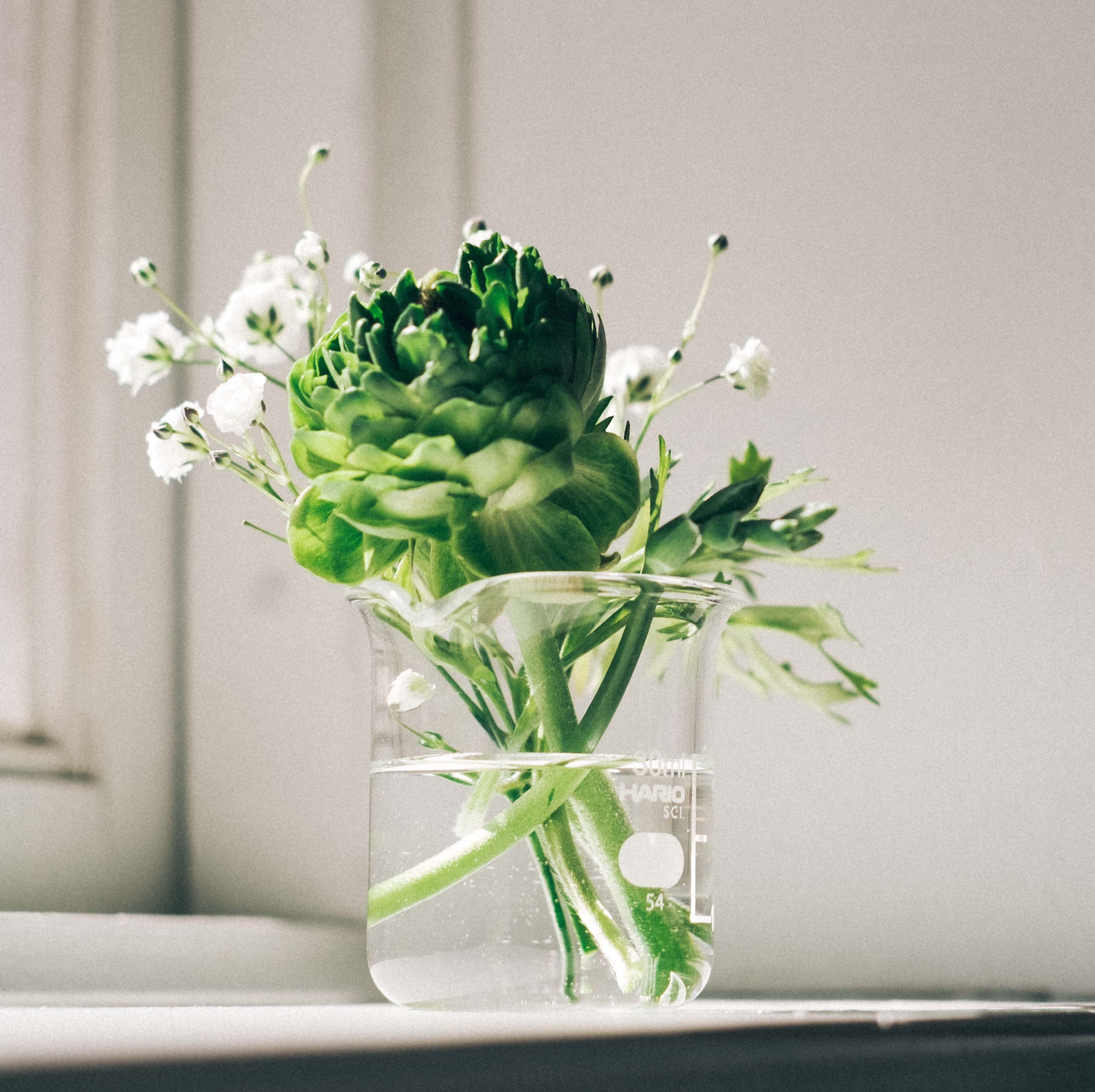 B-30SCIビーカー30ml: フラワーベース・鉢カバー ｜ YDM