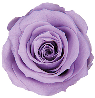 メディアナローズ カラーパレット アクア