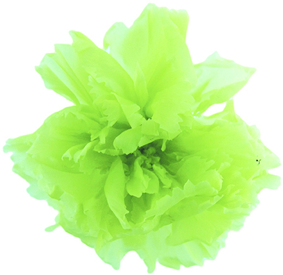 �~�j�J�[�l�[�V�����@�J���[�p���b�g �|�b�v