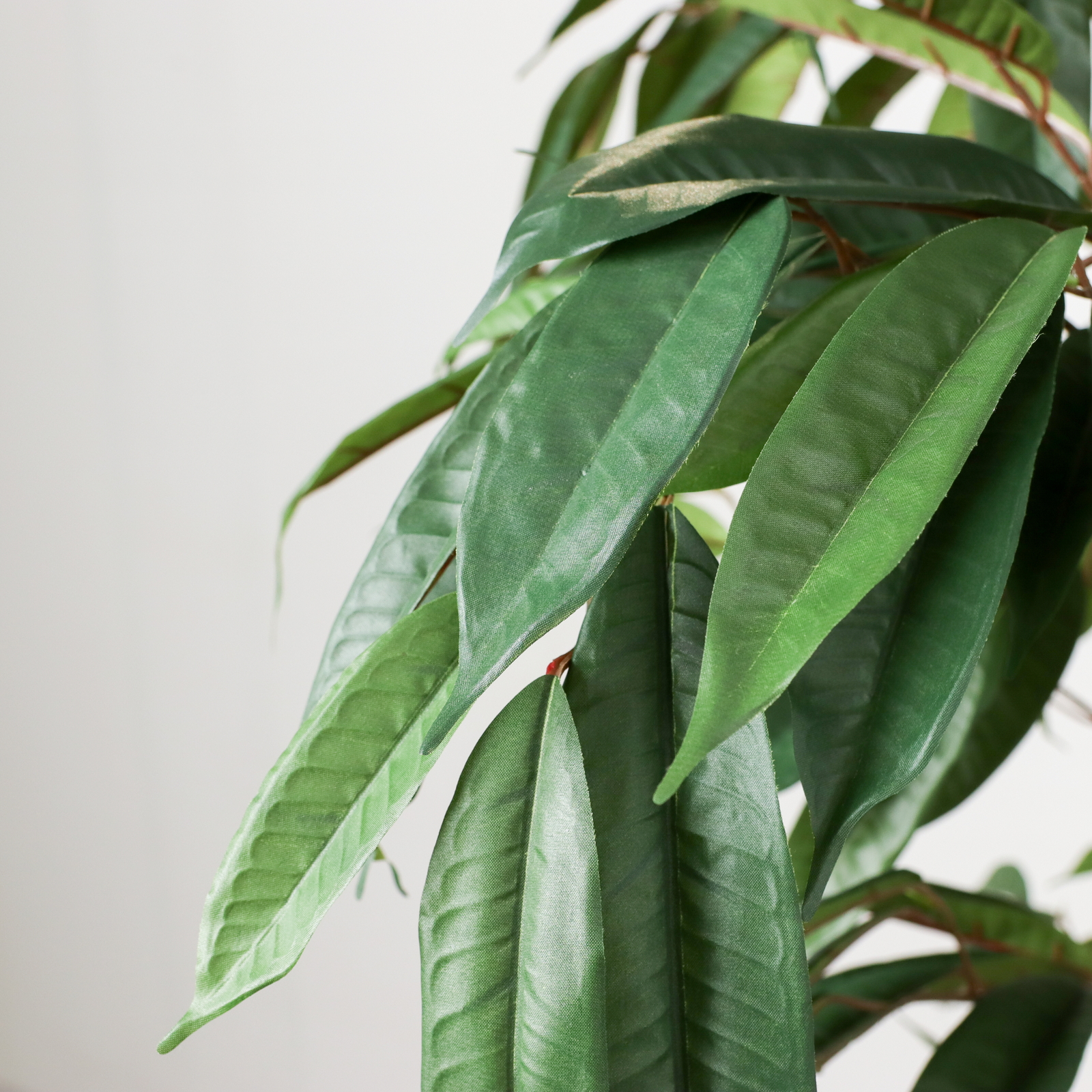 �y�����ʓrB�z180CM����ݺ��