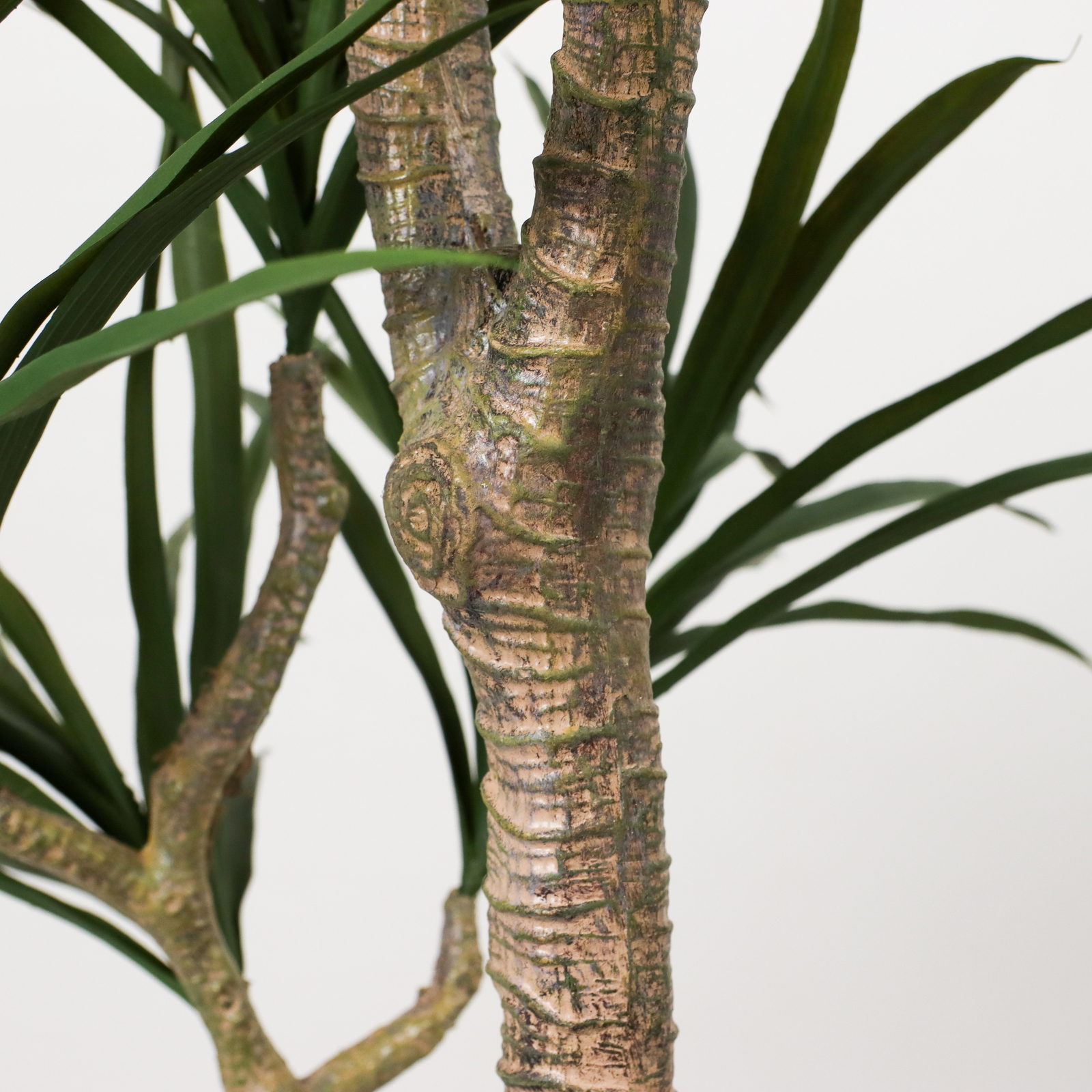 �y�����ʓrA�z150CM�׽����׾�