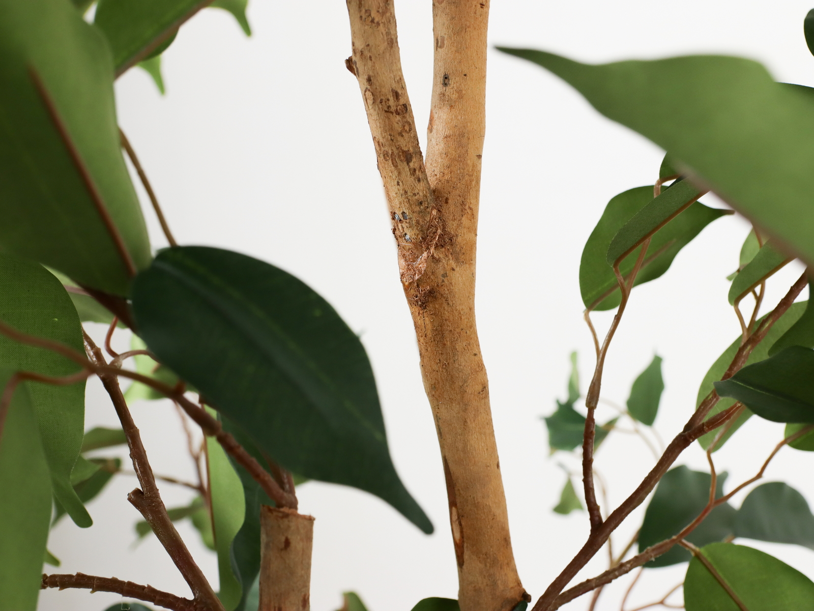 �y�����ʓrB�z210CM��ݼެ���ذ