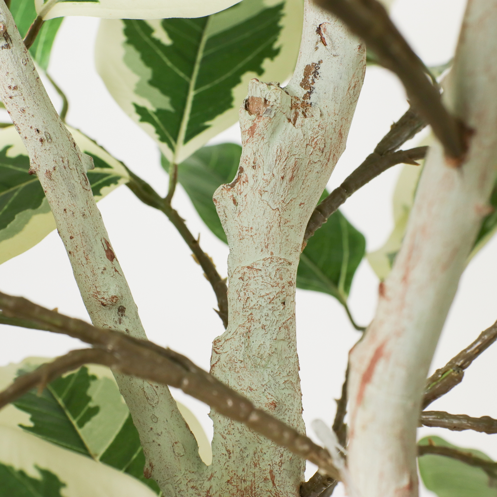 160CM̨����ü�