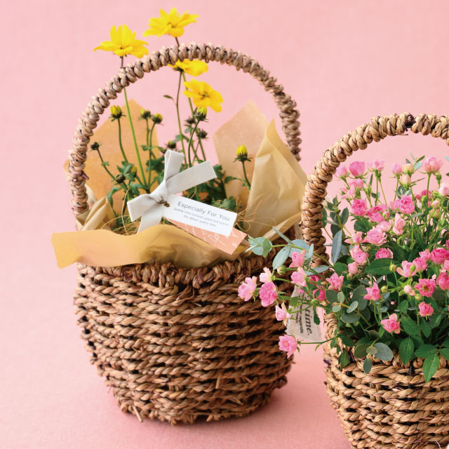 ハンドルカゴバッグナチュラルM(4P)