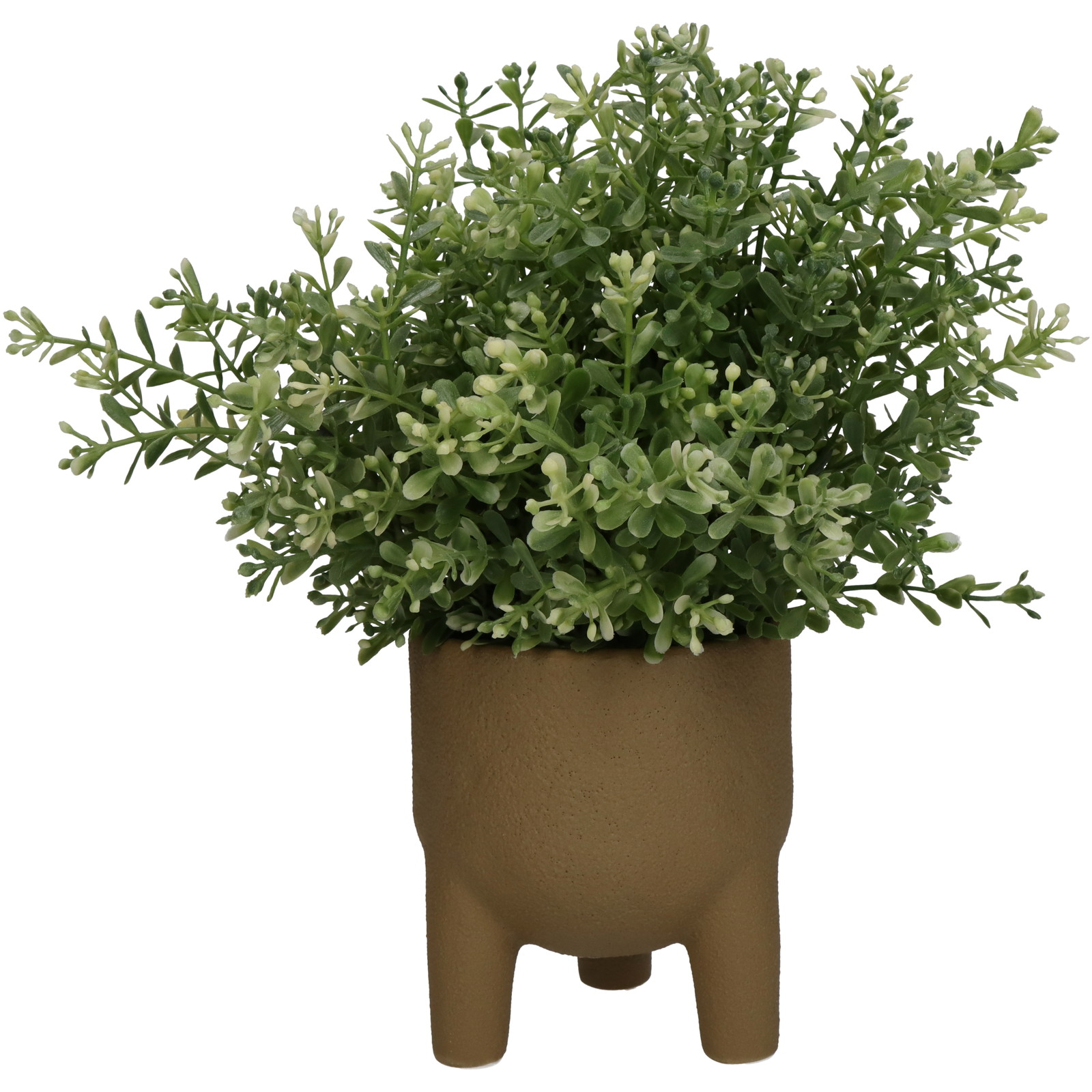 ■Planter Green 10x10x11cm