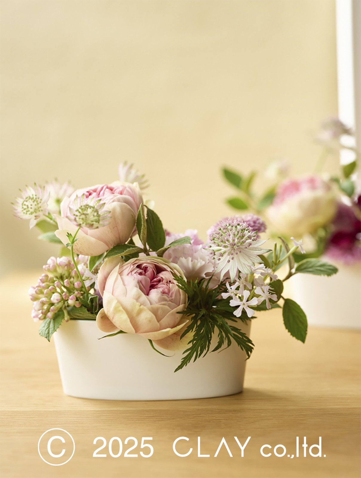 WHITE VASE Oval_12L5W5H