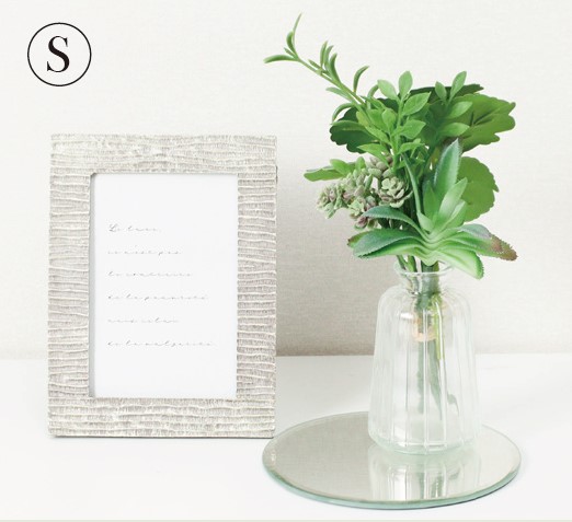 ディスプレイセット グリーン S