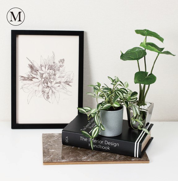 ディスプレイセット グリーン M