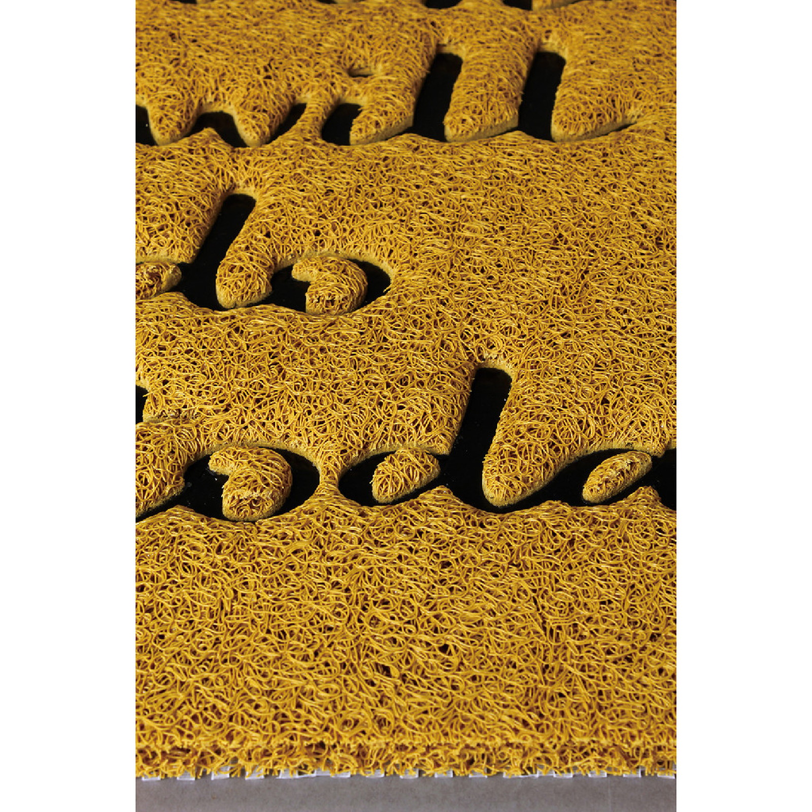 ylzsz(2)ӂӂ׽ϯ What will you do today