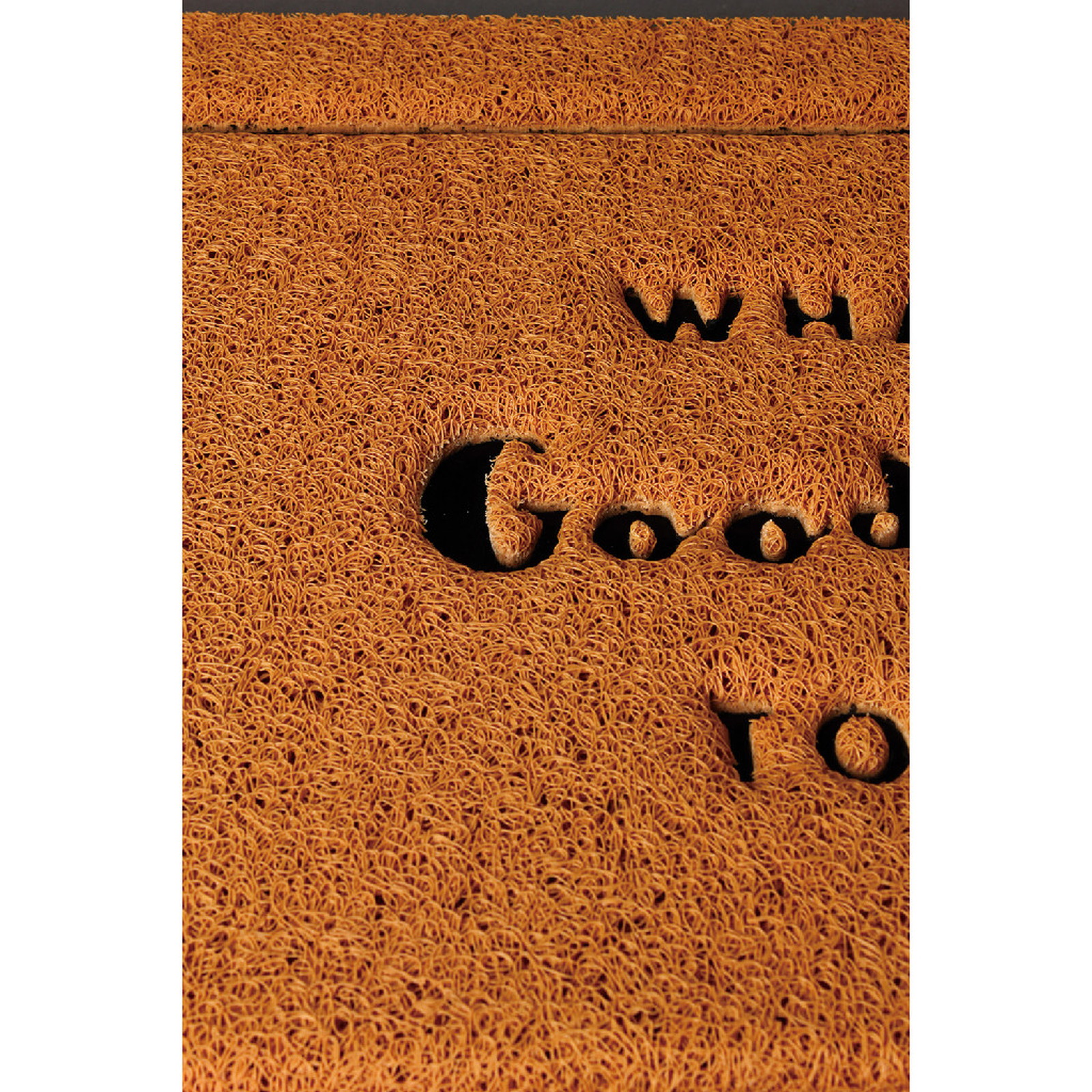 ylzsz(2)ӂӂ׽ϯ WHAT A Good Day TODAY